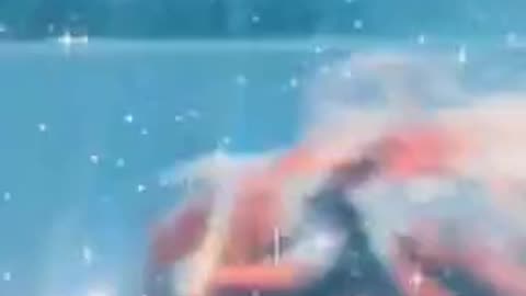 Tim Rifat TikTok Videos