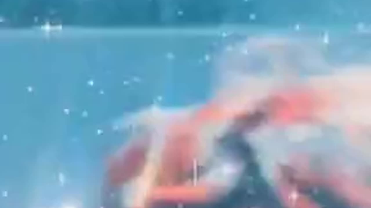 Tim Rifat TikTok Videos