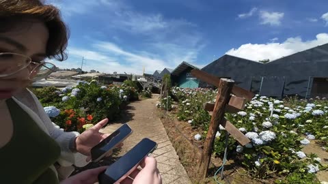 LiveKuikka 🇻🇳 | $1 TTS | $2 MEDIA | !donate