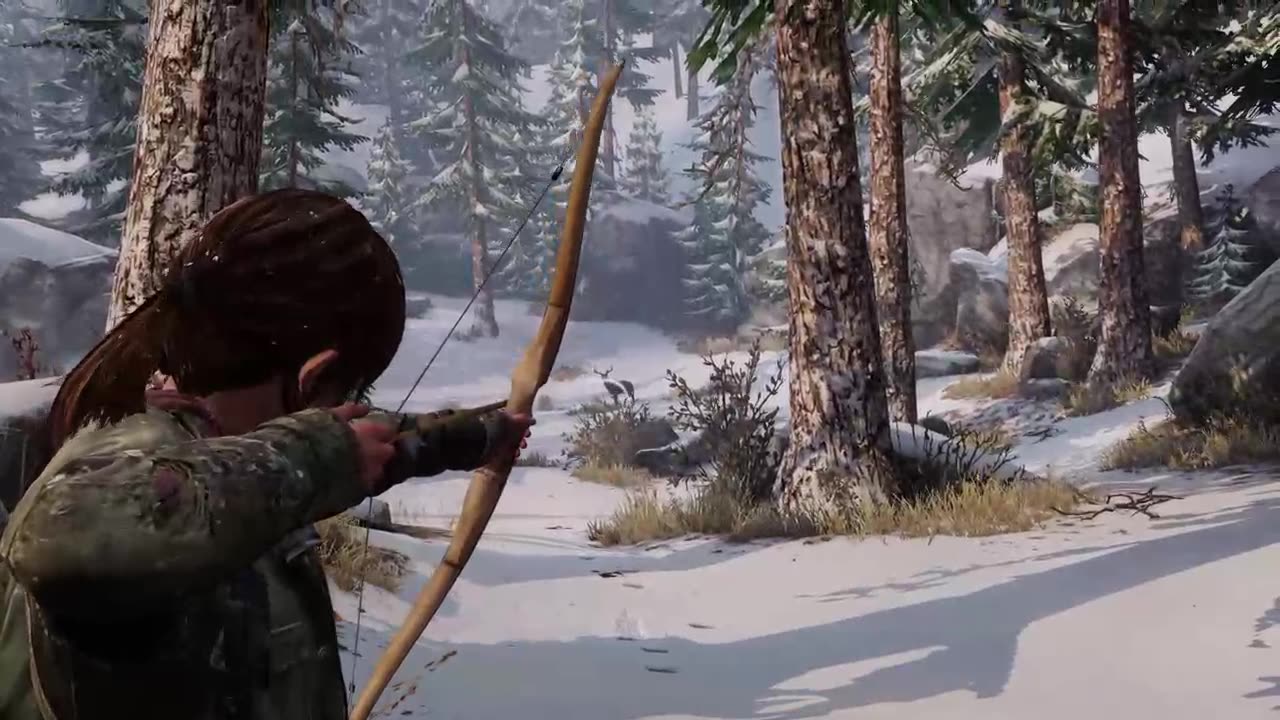 The last of Us 1(Remastered)