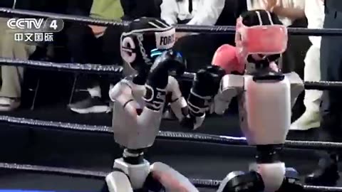World’s first robot kickboxing tournament held in China