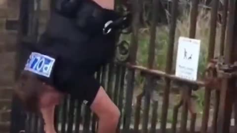 Rookie Cop Caught With Pants Down!?