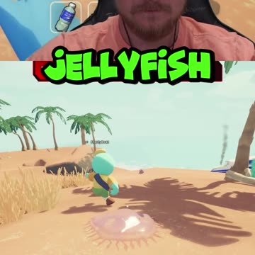 The MAGICAL conch SPEAKS