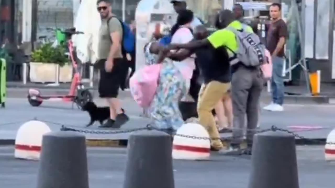 In Naples, not even dogs are safe.