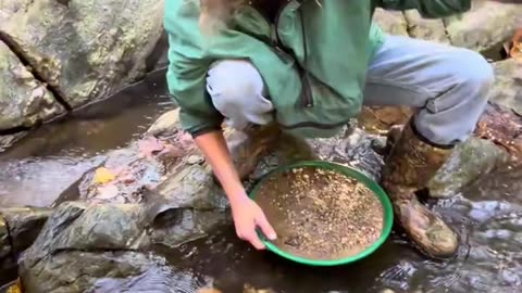 finding gold in the shore of river