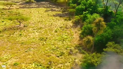 Battle scene 💪 Avengers infinity war