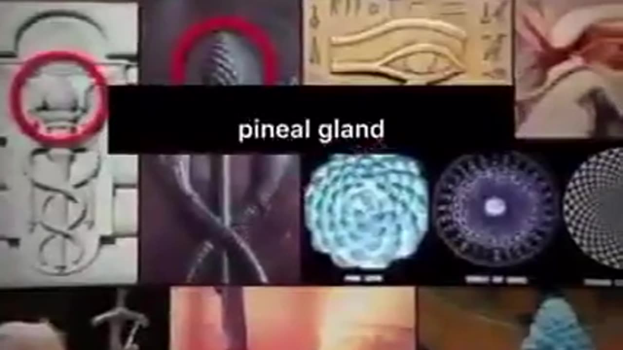 WHY❓ BECAUSE 💊 HIS -STORY IS A LIE‼️