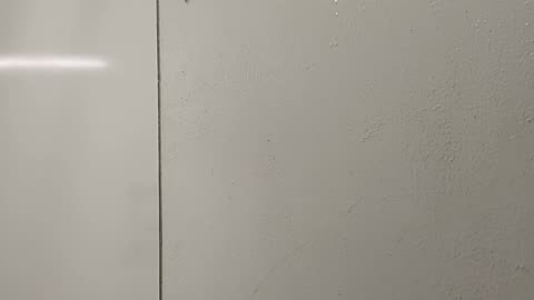 Camp Shower Frog Splat