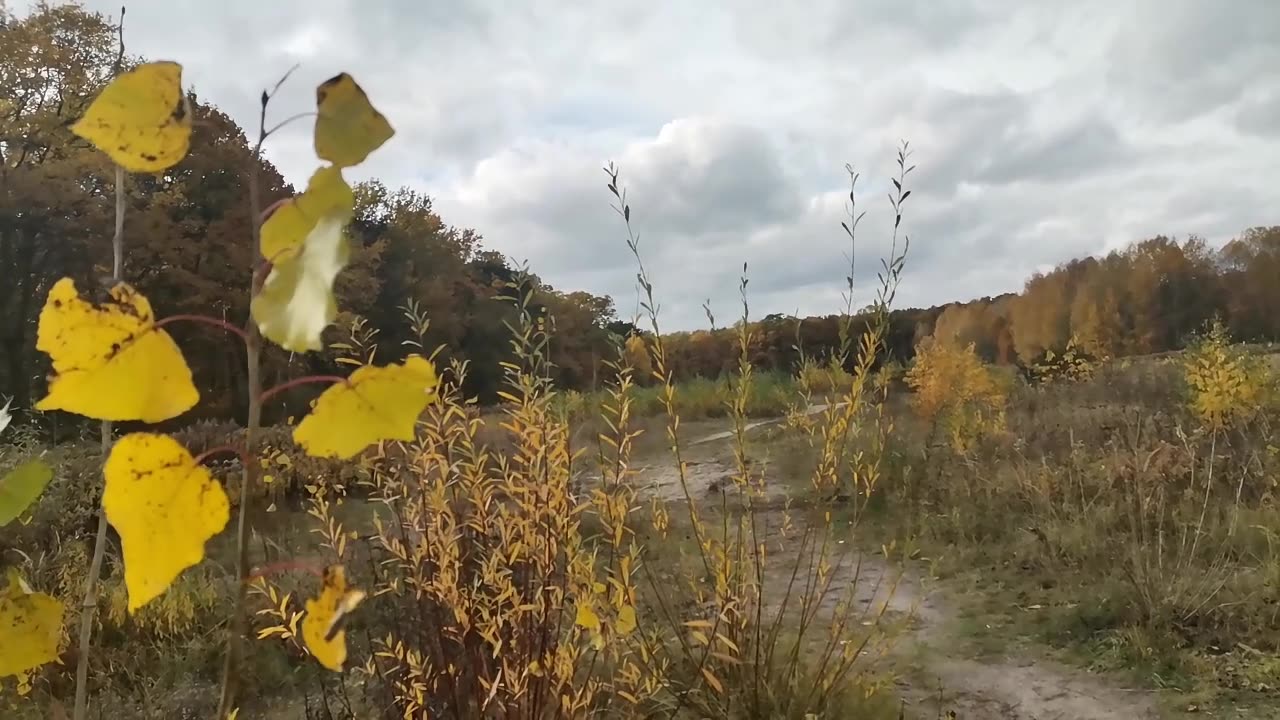 przydatne doświadcznie ...
