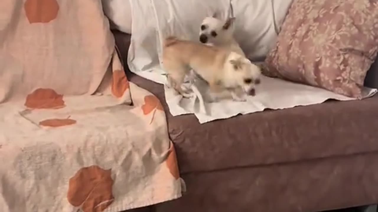 Y lo deja llegar primero 🙂