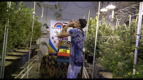 Serenaded Buds : The Code - Blakkamoore & The Bambu King