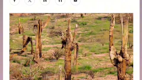 Bill Gates planning to build a smart city in Arizona called Belmont - Wildfires 2.0