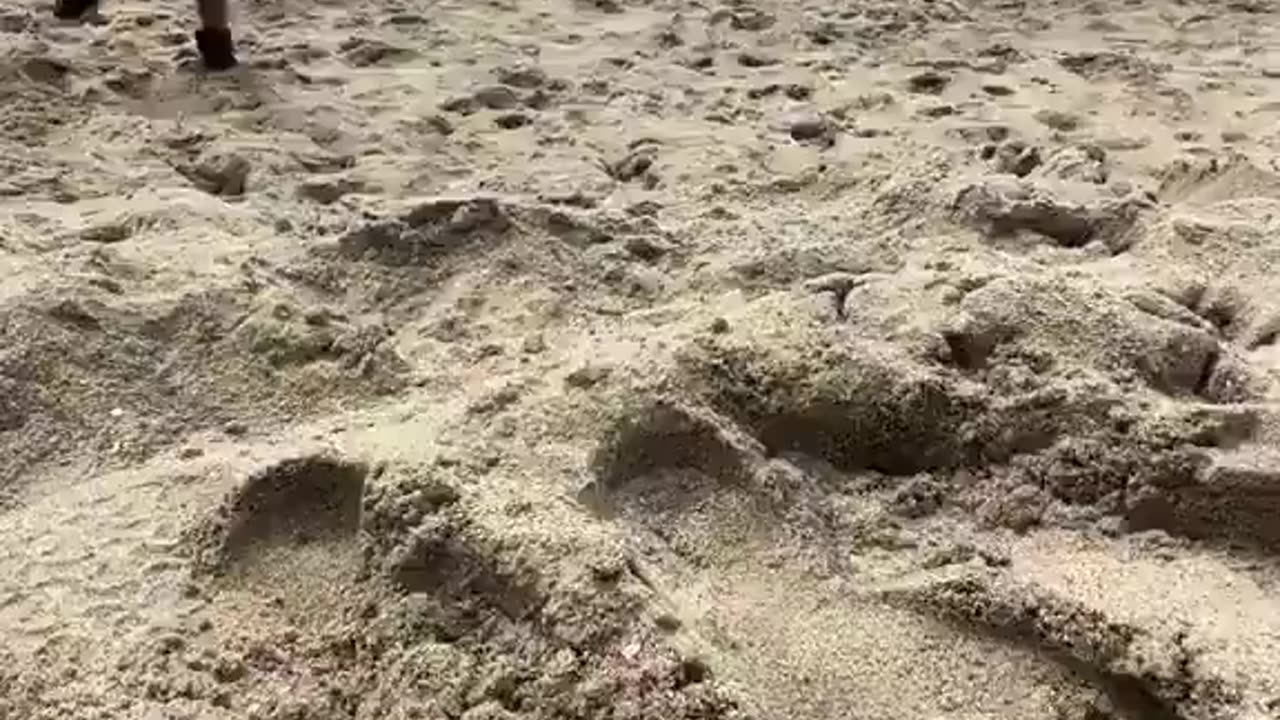 Pena per ingresso illegale