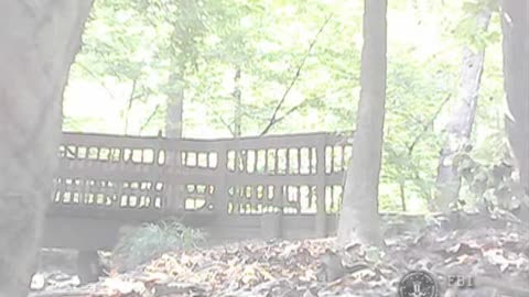 (2010) Operation Ghost Stories 10 – Semenko Dead Drop, Arlington