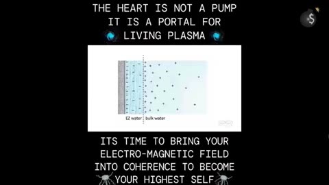 Your blood and heart are not what you think