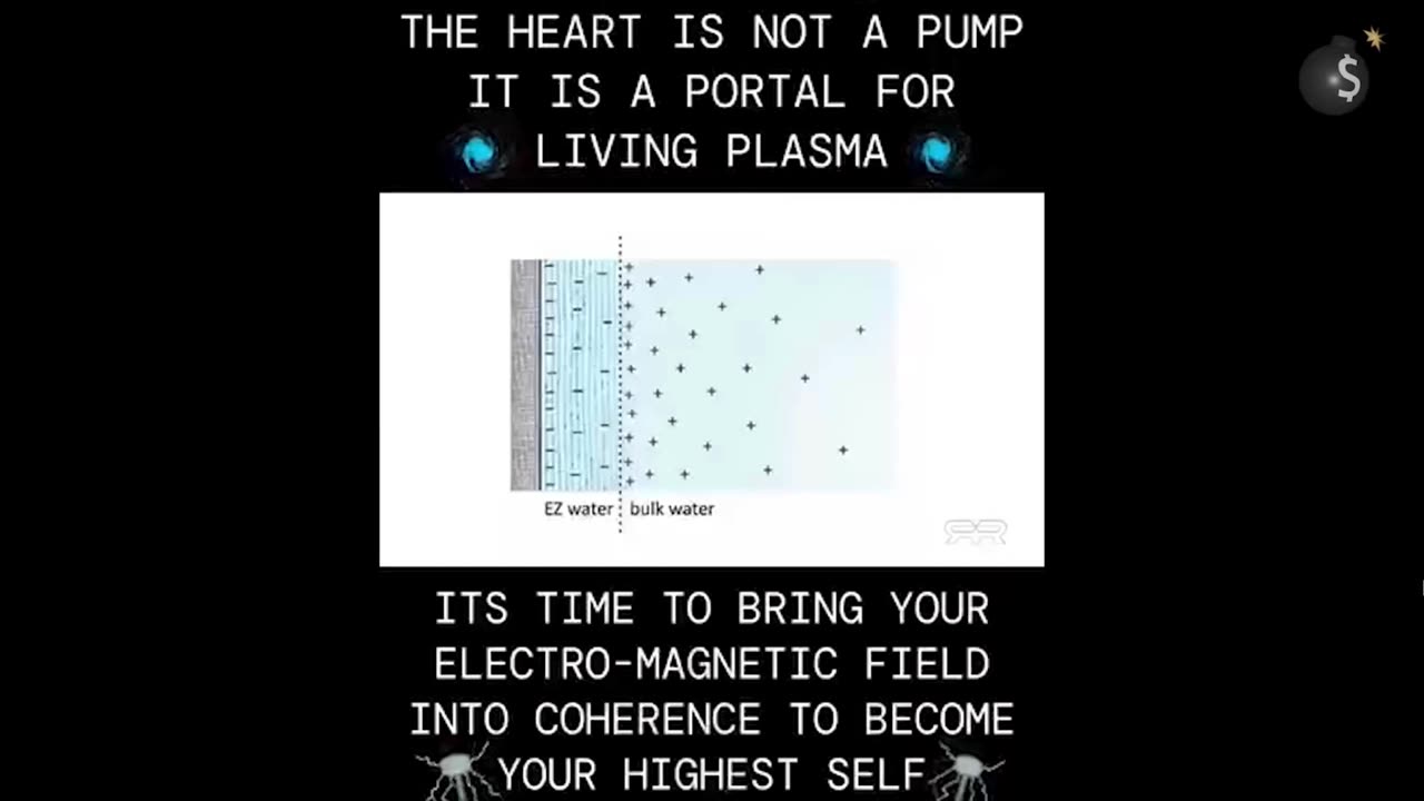 Your blood and heart are not what you think
