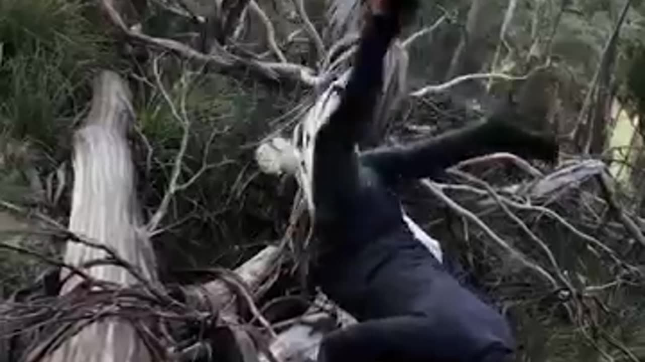 Real life Vs AI.