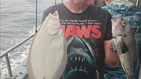 Fluke and sea bass