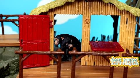 Feed the Hippo with Grass and Fruit in the Morning