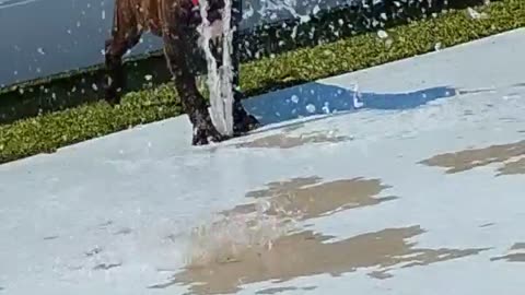 😂💦 Water Derping Gone Hilariously Wrong! | FunFM