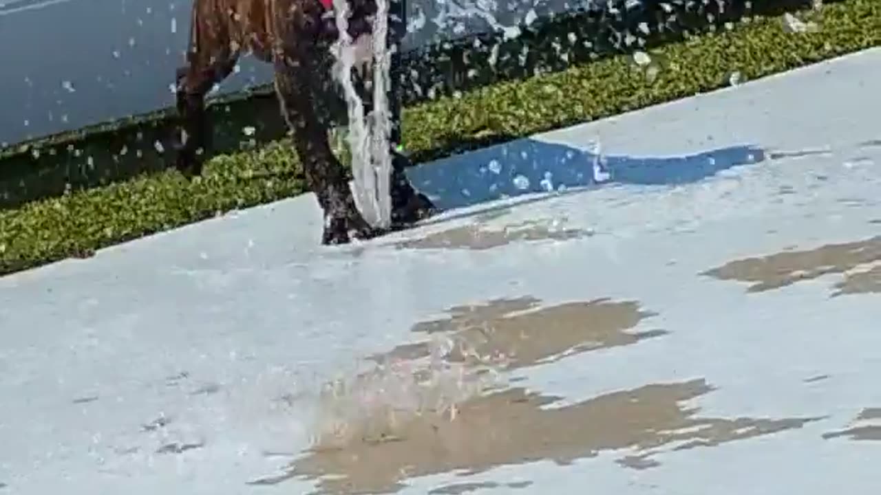 😂💦 Water Derping Gone Hilariously Wrong! | FunFM
