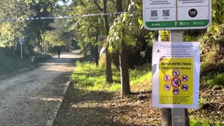 Spanish authorities track boars, amid swine fever outbreak