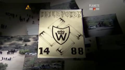 AMERYKAŃSCY SKINHEAD dokument pl