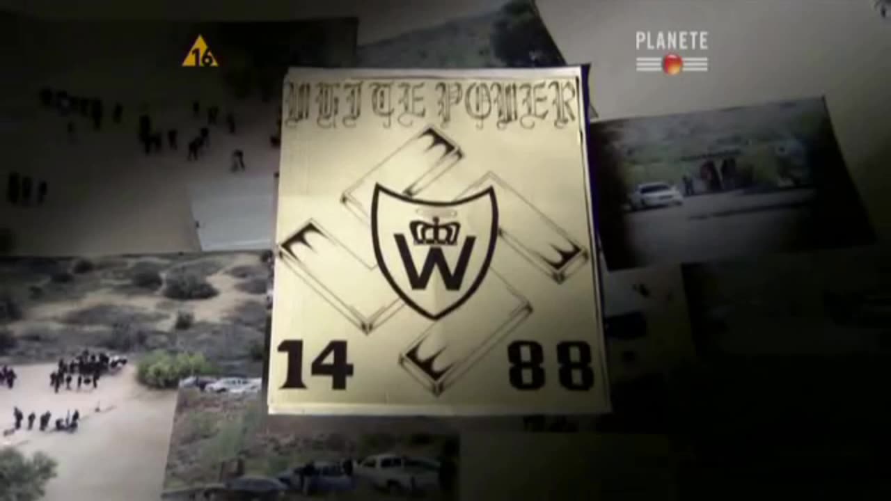 AMERYKAŃSCY SKINHEAD dokument pl