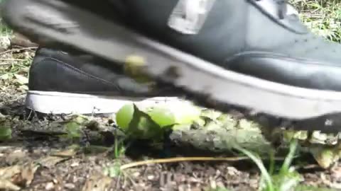 Reebok Sneakers Crushes Grapes - Male Content