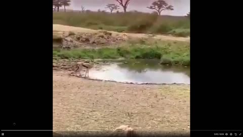 Now this is what you call an awesome escape technique - 30 sec clip