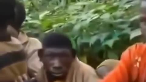 Wait for it ....this Negro at the end clearly didn't evolve 🤣