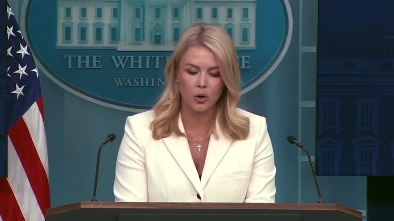 Karoline Leavitt uses Nancy Pelosi and Chuck Schumer’s own words against them on tariffs