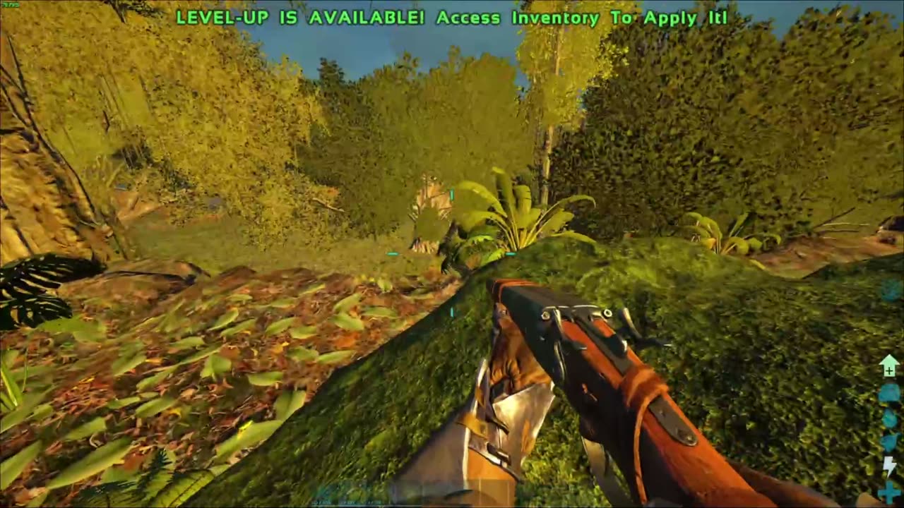 Live Kuikka | $1 TTS | $2 MEDIA | !donate