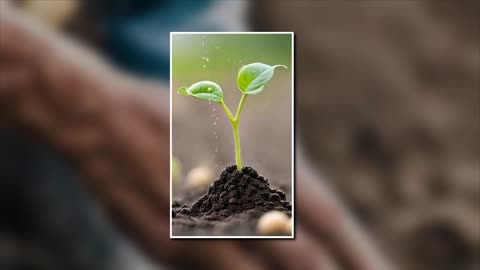 Sow a seed, share the word of God