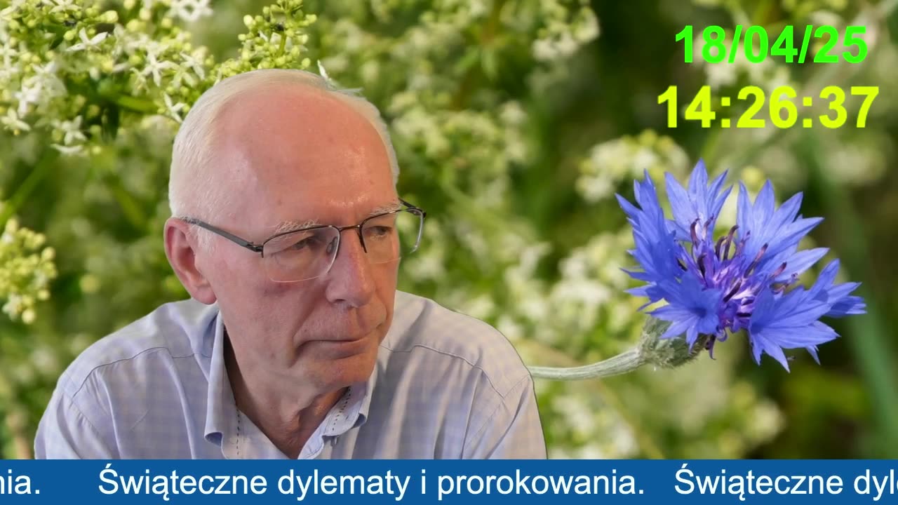 Świąteczne dylematy i prorokowania.
