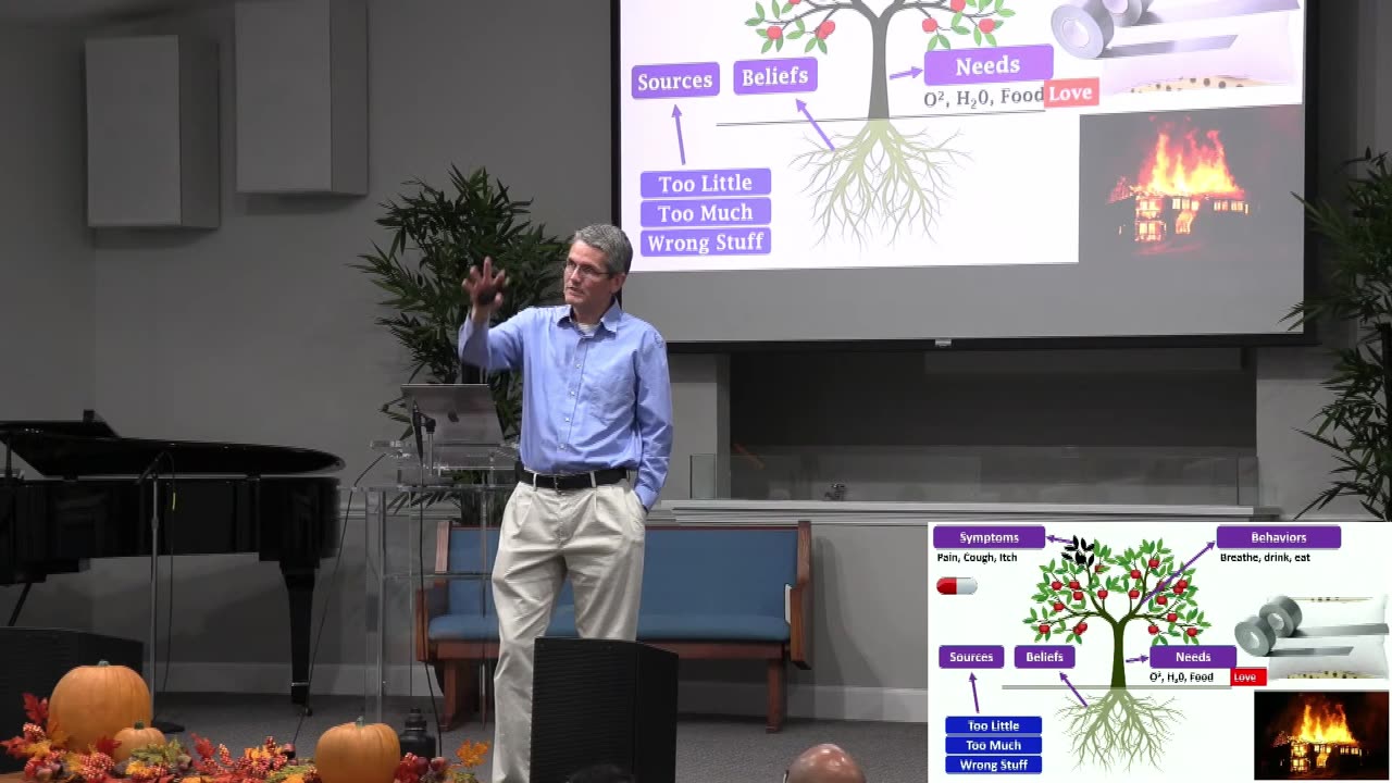 Part I - Beyond the Pill: Exposing the Fallacy of Surface-Level Medicine | Dr. Mark Sandoval
