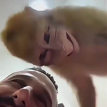 The Animals 🤣😆 #funnyanimals #animals #pets #shorts