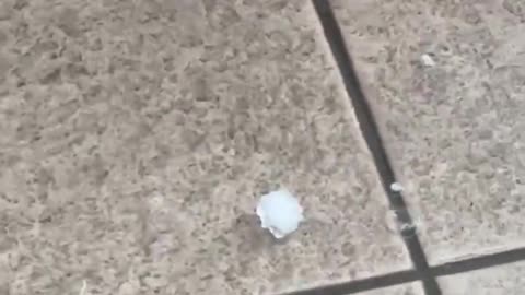 Grêle violente cet après-midi à Ivrea et Verbano-Cusio-Ossola, Piémont, Italie #catastrophe #climat
