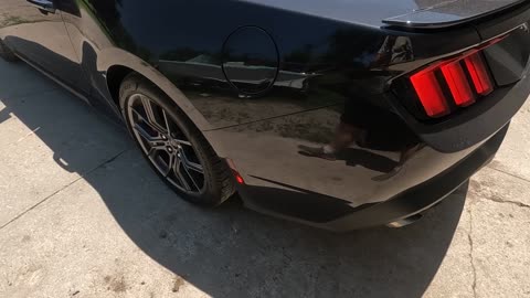 Introducing Ralphie, Our 2024 Ford Mustang Ecoboost Premium With High Performance Package