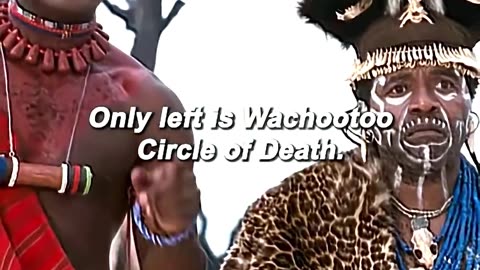 The Hilarious “Circle of Death” Fight 🤣🥊🐒