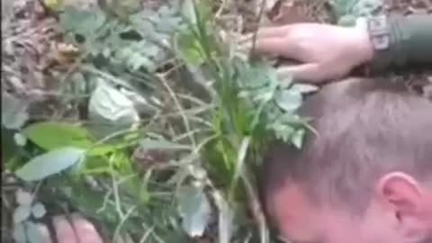 War in ukraine