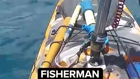 Must Watch: Video shows shark attack kayak off Hawaii shore