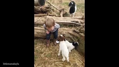 Animals Being Hilarious in 2025! 🤪 You’ll Laugh Till You Cry