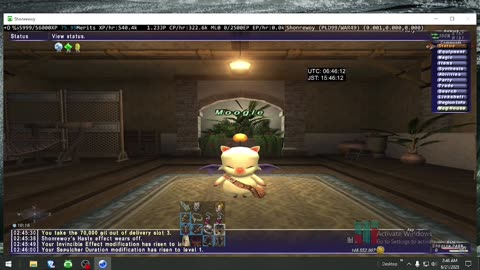 Playing Final Fantasy XI Online