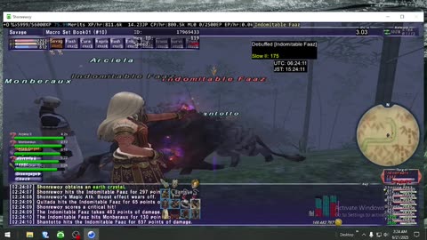 Playing Final Fantasy XI Online
