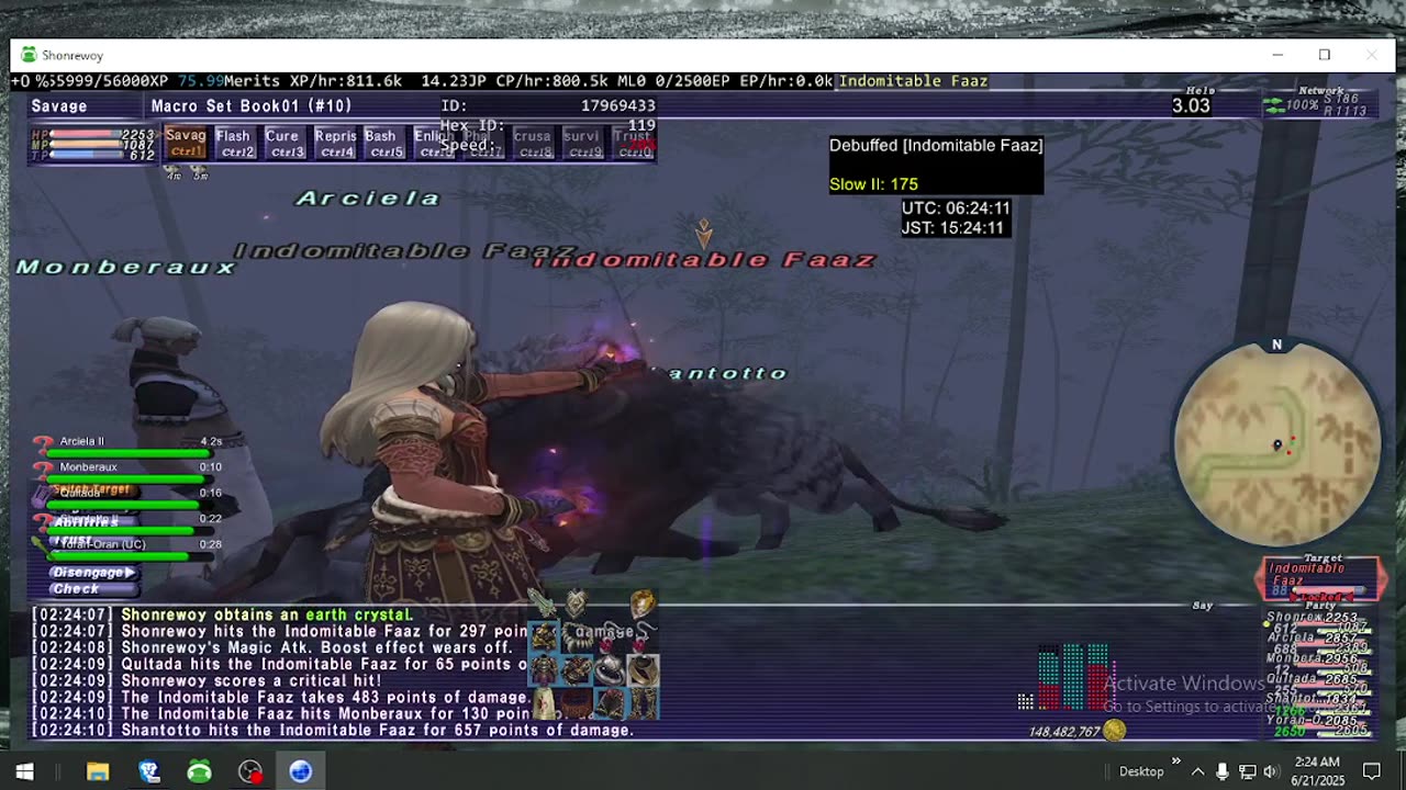 Playing Final Fantasy XI Online