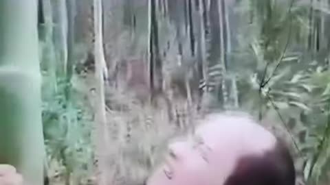 Try to not laugh 😂