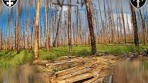 🎯🌲 Ukraine Russia War | Ukrainian Fiber Optic Drones Strike Russian Dugouts in Serebryansky F… | RCF