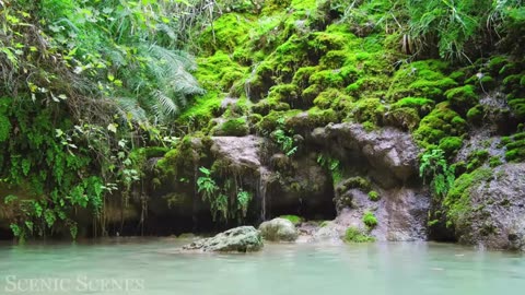 The Healing Power Of Nature Sounds