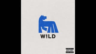 Russ - Wild Vinyl Mixtape
